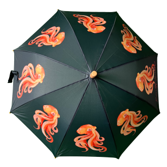 Emily Smith Designs Oscar Umbrella for Kids