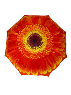 StormKing Folding Floral Umbrella Orange Daisy