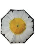 Everyday Inside Out Umbrella White Daisy Stick